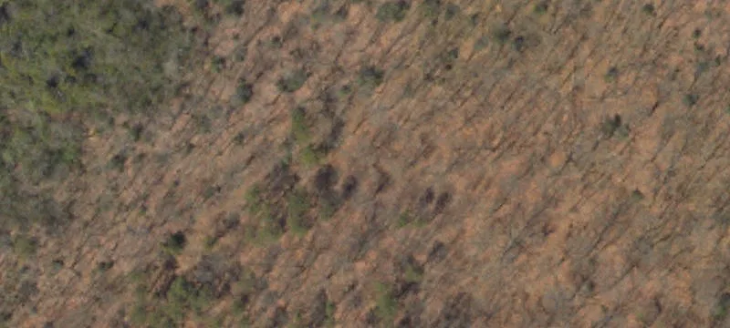 Large Private Preserve Land