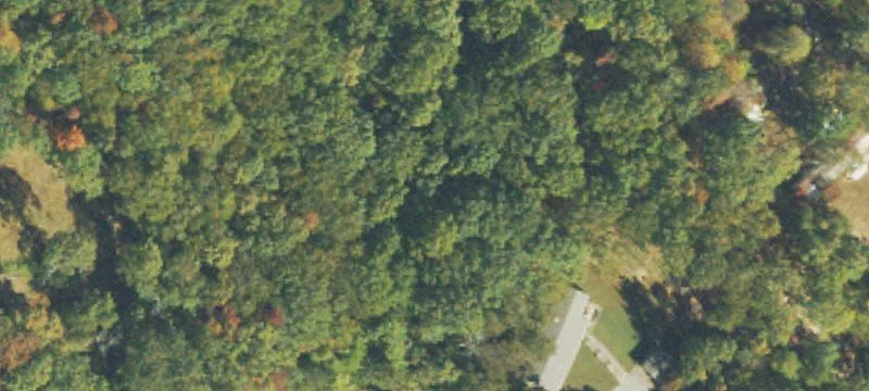 Unrestricted Wooded Acreage