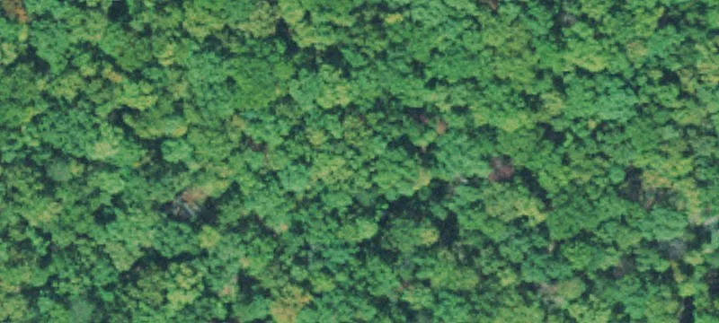 Recreational Hunting Land with Cabin