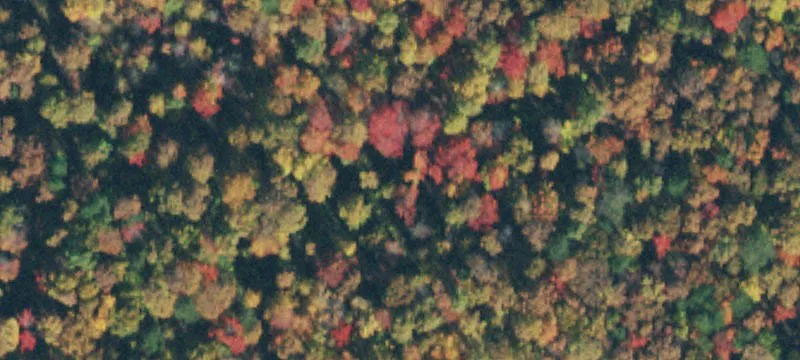 Mountain View Land Parcel