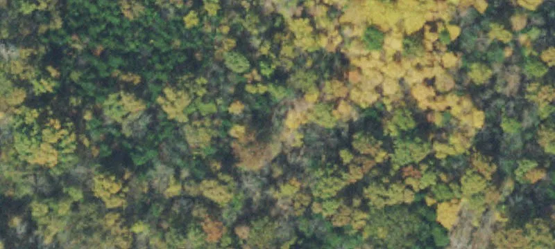 Versatile Recreational Land Property