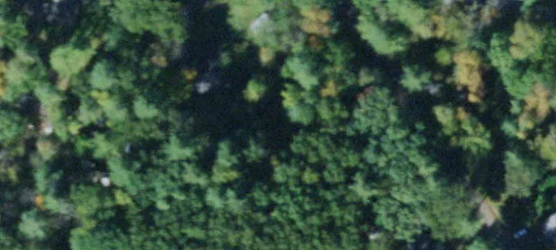Wooded Residential Land Parcel
