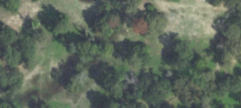 Agricultural Land with Horse Facilities