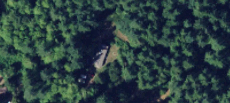 Timbered Agricultural Land Tract