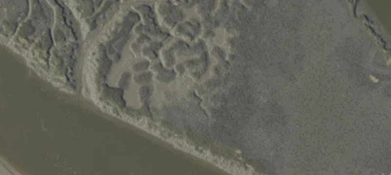 Waterfront Estate Land Parcel