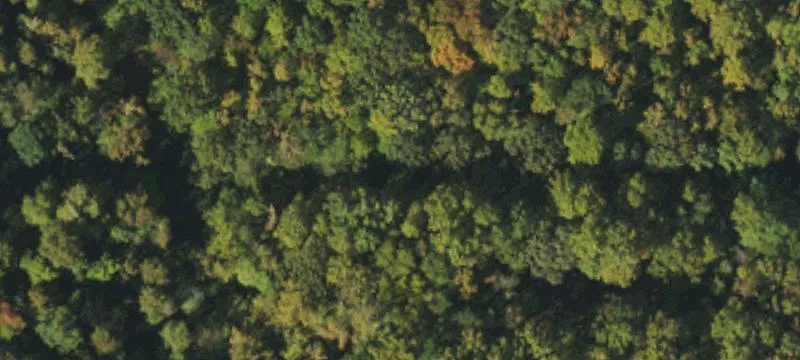 Specialty Land Parcel