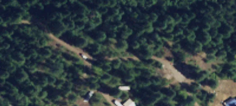 Timberland with Road Access