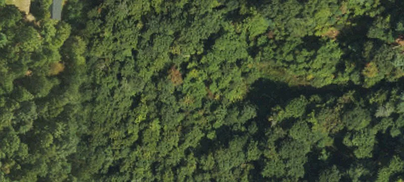 Wooded View Home Site Lot
