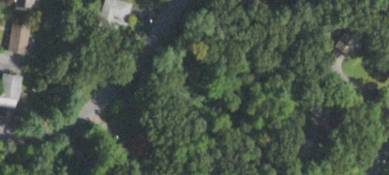 Wooded Residential Building Lot