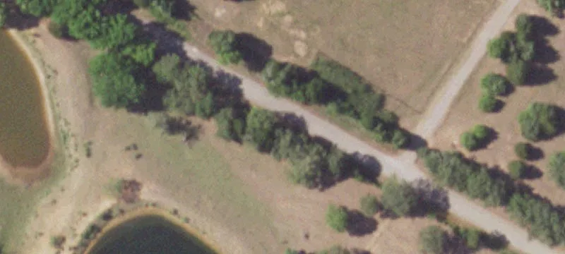 Pasture Land with Walking Trail
