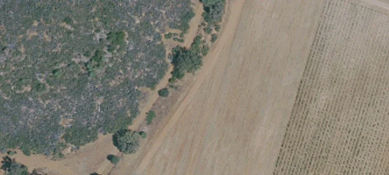 Winery and Guest Estate