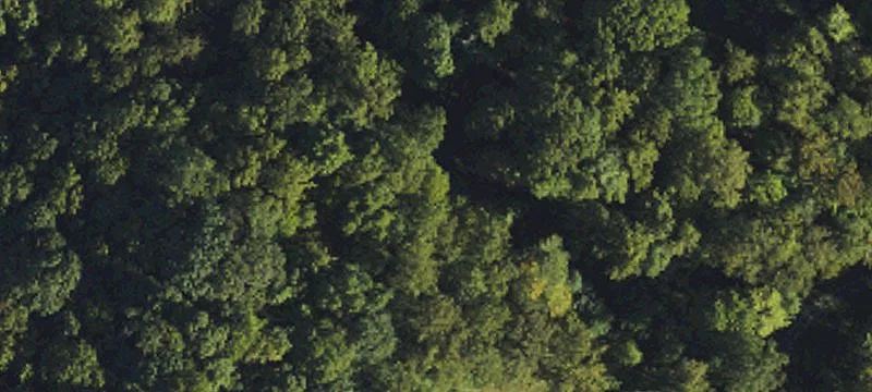 Secluded Mountain Home Lot