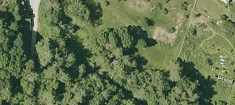 Wooded Corner Development Lot