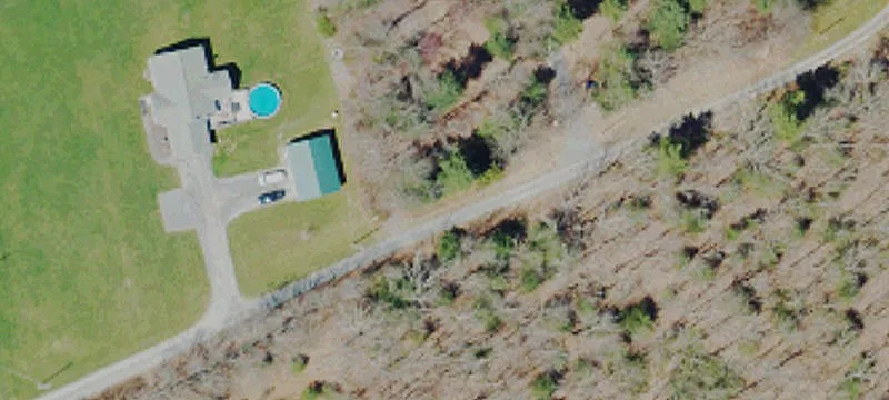 Hunting Land with Mature Trees
