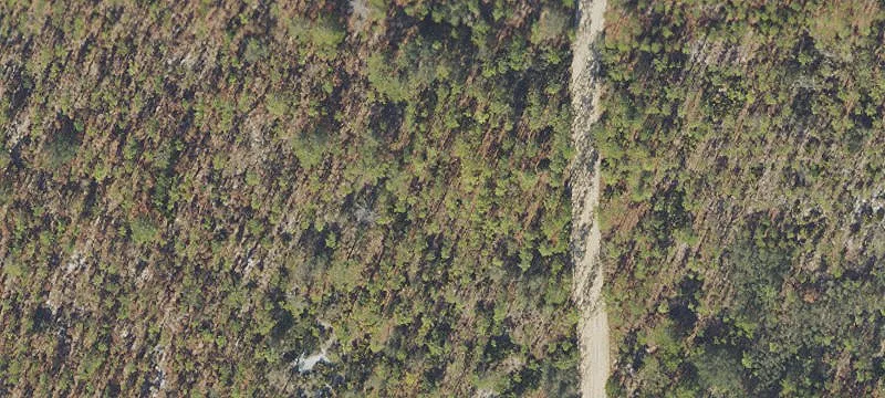 Coastal Homesite with Utilities