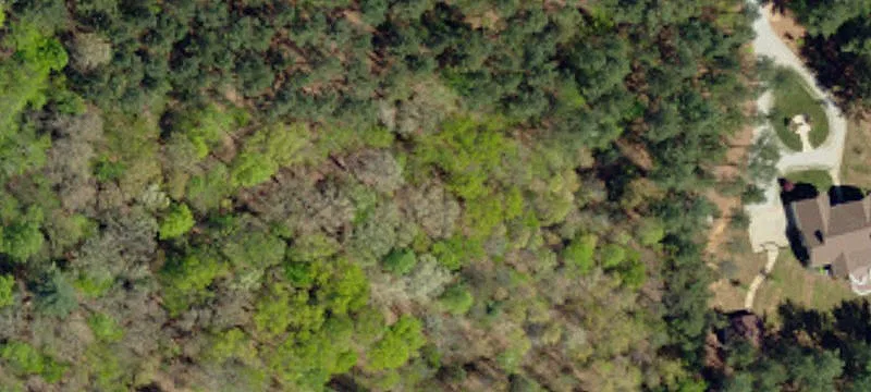 Recreational Hunting Land Tract