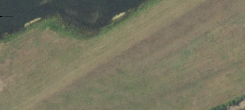Wooded Waterfront Land Tract