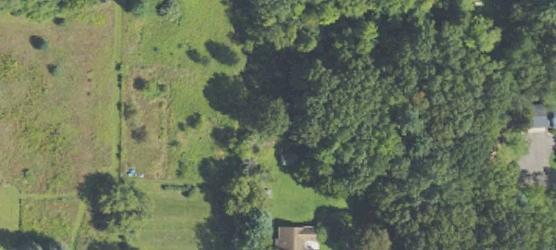 Wooded Residential Development Lot
