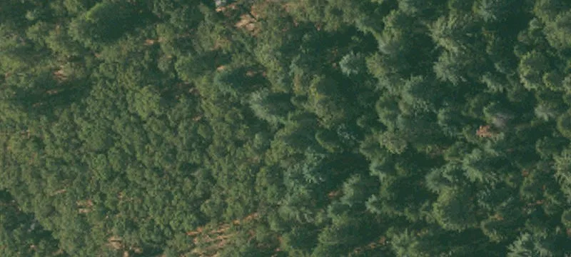 Wooded Residential Development Land