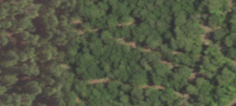 Secluded Hunting Tract with Camp Site