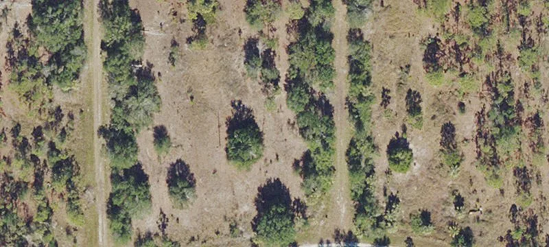 Cleared Residential Lot