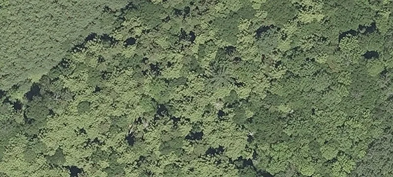 Wooded Corner Buildable Lot