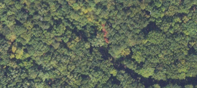 Wooded Residential Land Lot