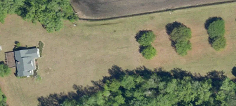 Hunting/Recreational Homesite Land