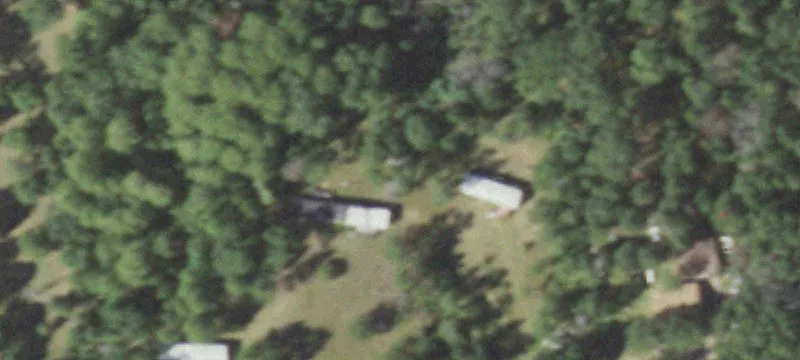 Timber Tract with Pine Stands
