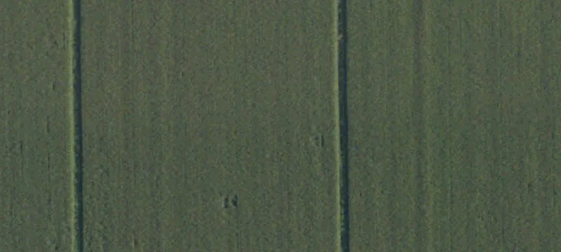 Pistachio Farmland with Irrigation