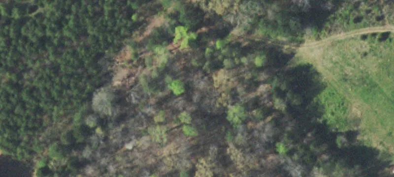 Multi-Tract Farm Property