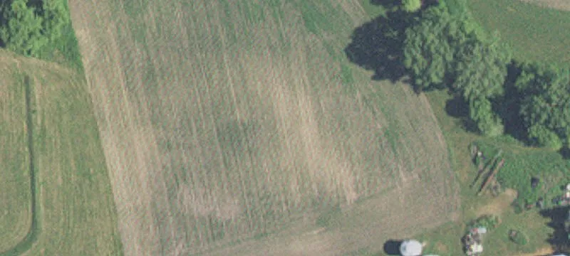 Specialty Property Land
