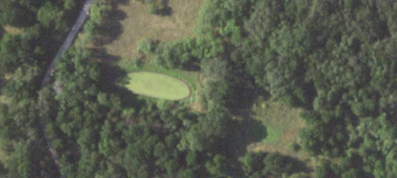 Hunting Land with Mature Oaks