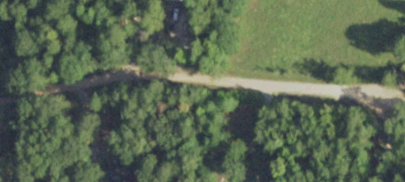 Unrestricted Wooded Acreage