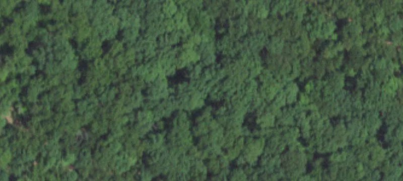 Wooded Recreation Land with Cabin
