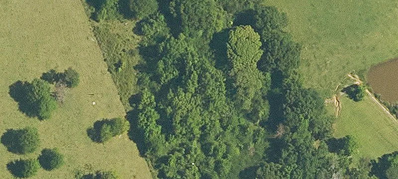 Residential Homesite Acreage