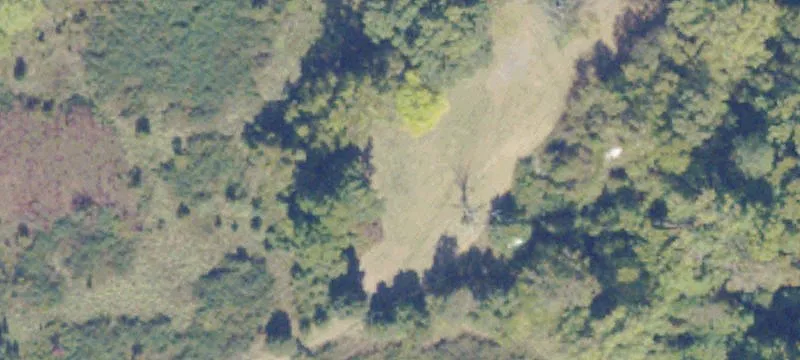 Wooded Development Land with Estate Home