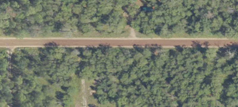 Wooded Recreational Land with Trailer Pad