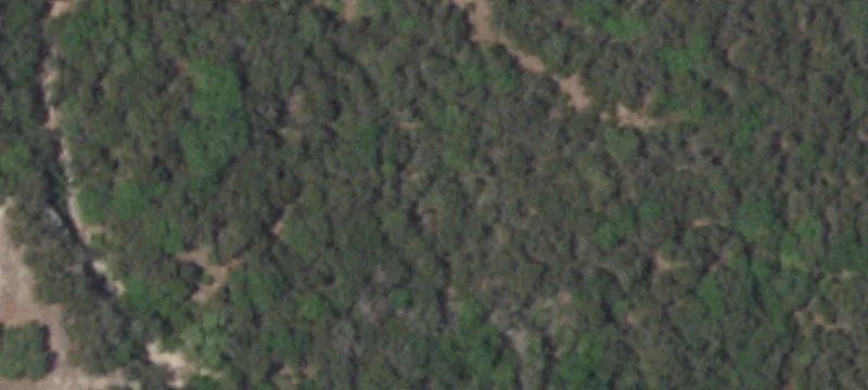 Residential Land with Custom Home