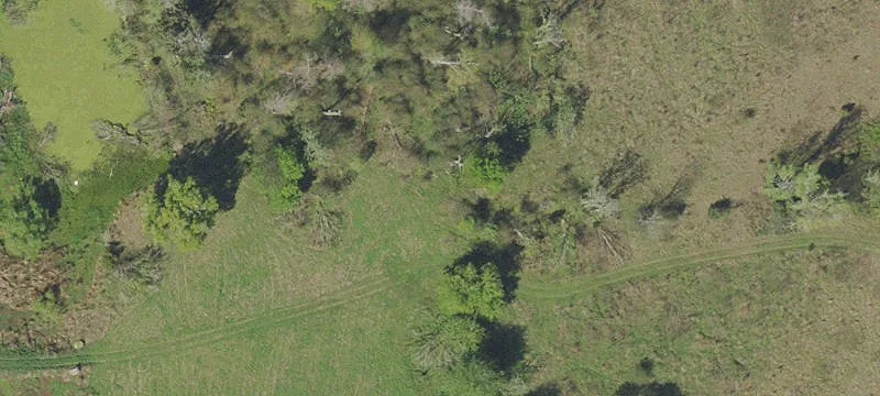 Private Ranch and Farm Land