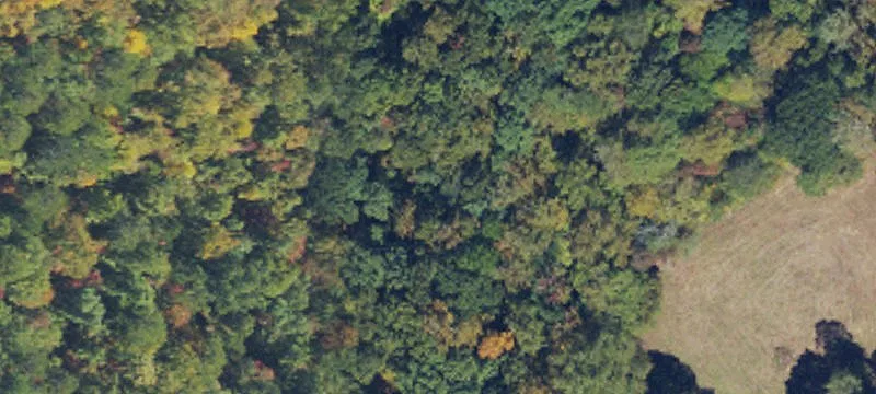 Heavily Wooded Buildable Land Lot