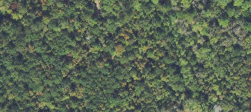 Recreational Acreage with Creek