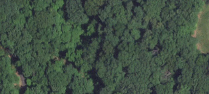 Wooded Residential Building Lot