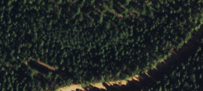 Wooded Mountain View Lot