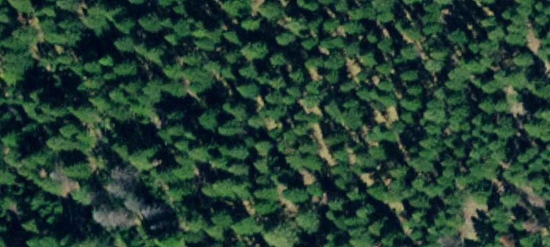 Wooded Residential Land Parcel