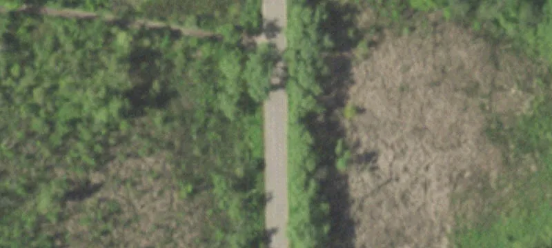 Level Wooded Home Lot