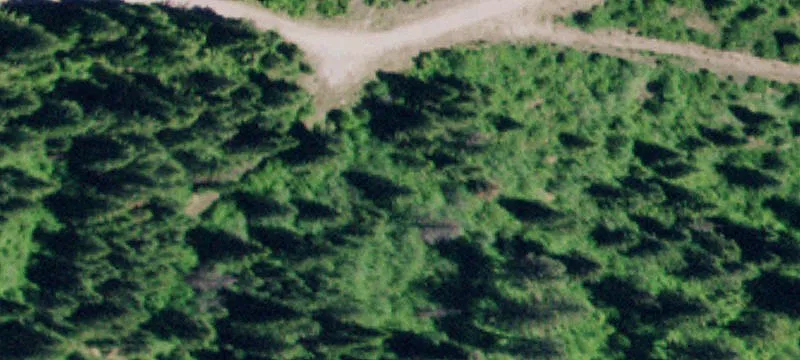 Wooded Hunting and Recreation Land