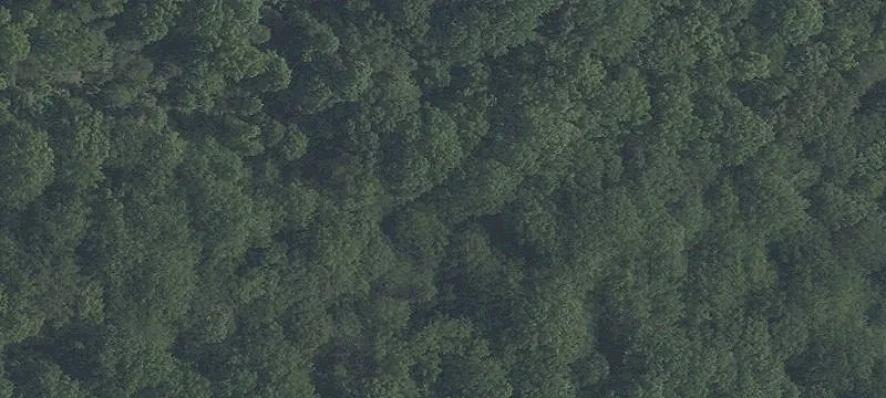 Commercial Land for Future Development