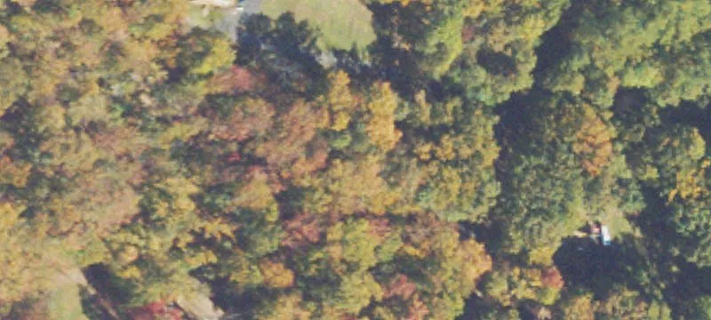Wooded Residential Development Lot