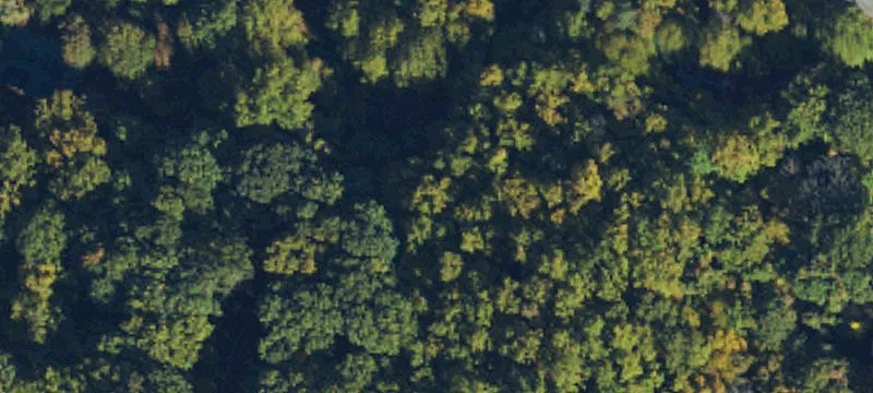Buildable Mountain Homesite